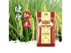 現(xiàn)代畜牧業(yè)與漁業(yè)的綠色轉(zhuǎn)型 微生物制劑與飼料營養(yǎng)的協(xié)同創(chuàng)新